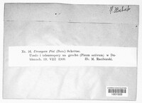 Image Associated With the Occurence